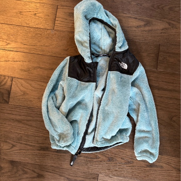 Toddler Blue Northface - Picture 1 of 2